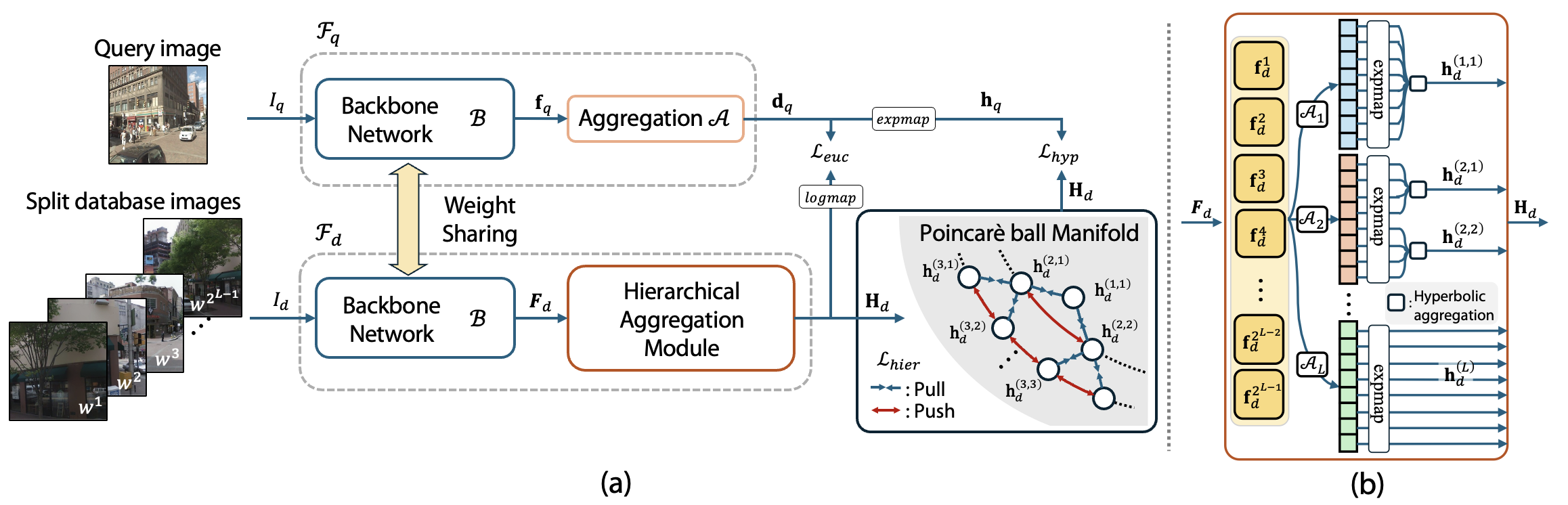 Model architecture and Hierarchical Aggregation Module